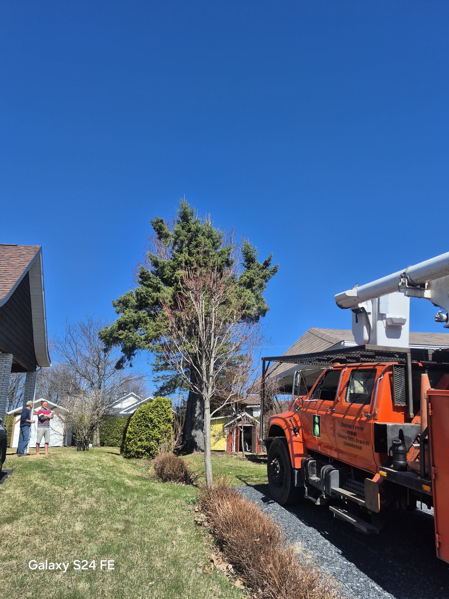 Beauce Émondage à Saint-Georges