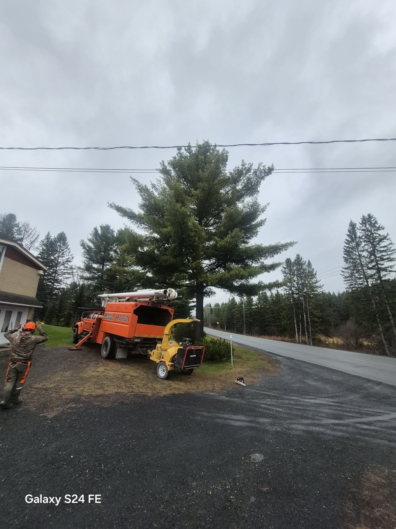 Beauce Émondage à Saint-Georges