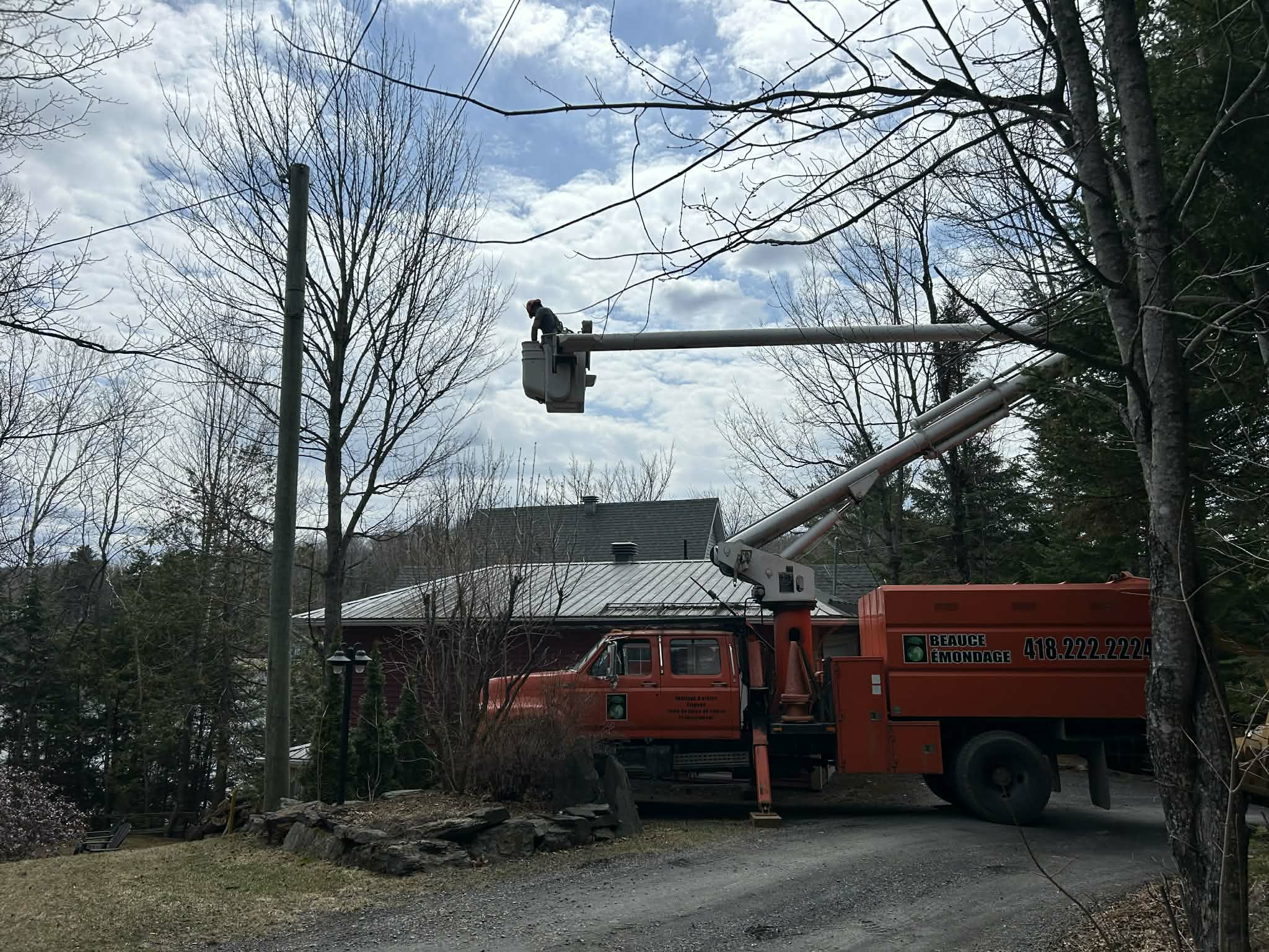 Beauce Émondage à Saint-Georges